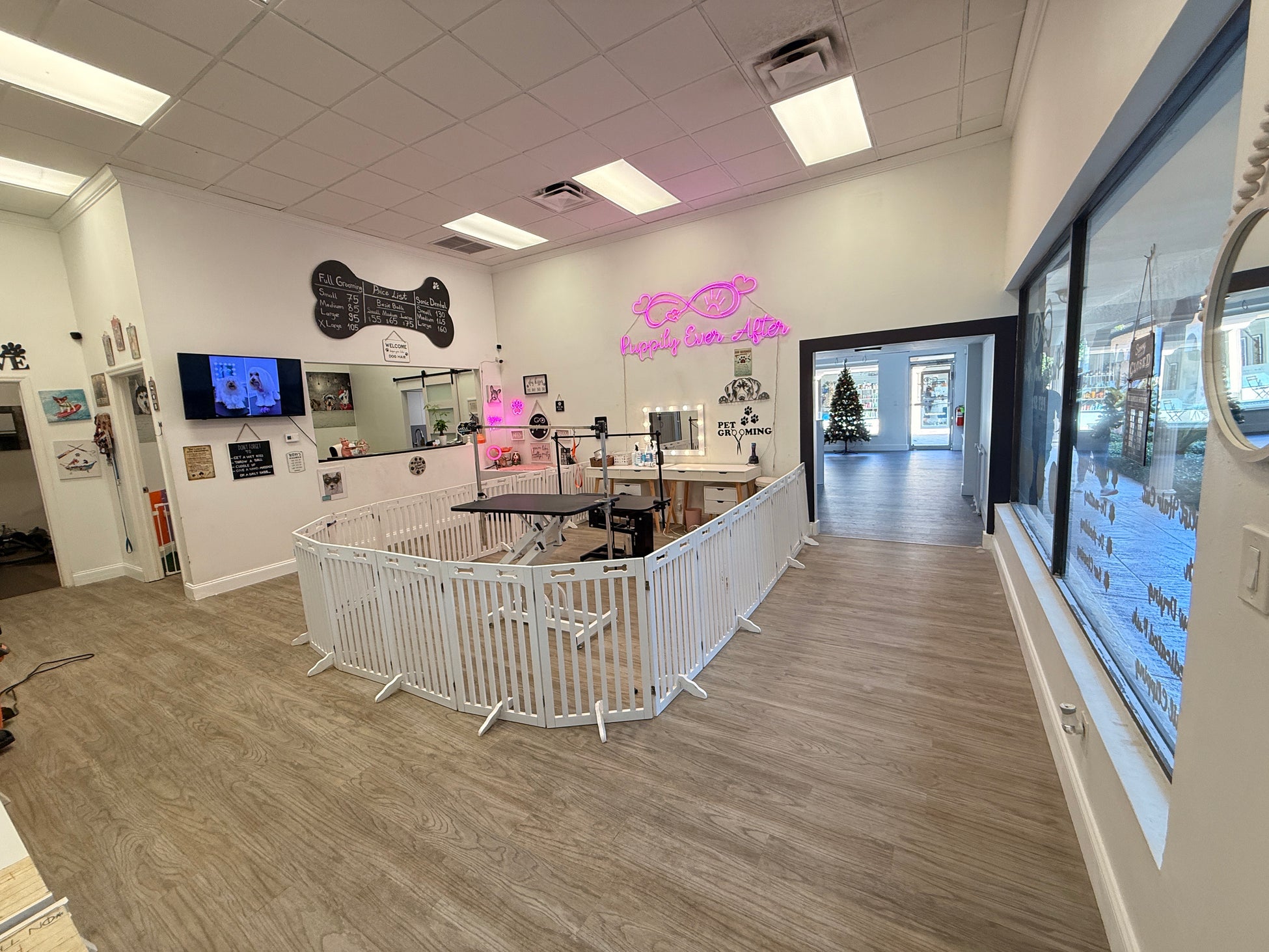 Dog groomed at Puppily Ever After Boca Raton 5
